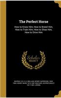 The Perfect Horse