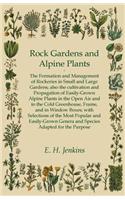 Rock Gardens and Alpine Plants