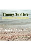 Timmy Turtle's Journey to the Light