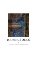 Looking for 527