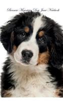 Bernese Mountain Dog June Notebook Bernese Mountain Dog Record, Log, Diary, Special Memories, To Do List, Academic Notepad, Scrapbook & More