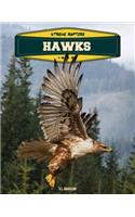 Hawks