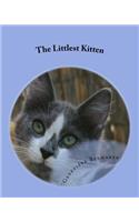The Littlest Kitten