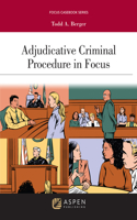 Adjudicative Criminal Procedure in Focus