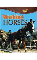 Working Horses