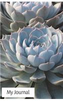 My Journal