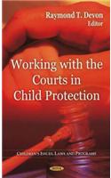 Working with the Courts in Child Protection