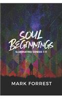 Soul Beginnings