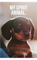 My Spirit Animal