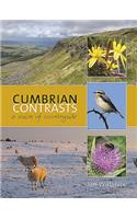 Cumbrian Contrasts