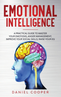 Emotional Intelligence