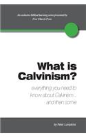 What Is Calvinism? Everything You Need to Know about Calvinism...and Then Some