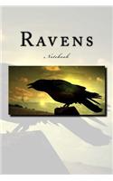 Ravens: Notebook