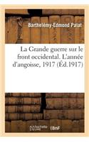Grande guerre sur le front occidental. L'année d'angoisse, 1917