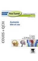 Anatomie Tête Et Cou (Cours + Qcm)