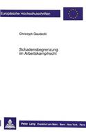 Schadensbegrenzung Im Arbeitskampfrecht: (1046 Europaeische Hochschulschriften Recht)