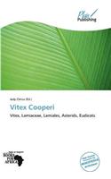 Vitex Cooperi: (English)