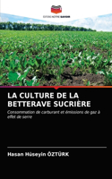 Culture de la Betterave Sucrière