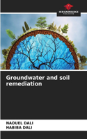 Groundwater and soil remediation