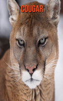 Cougar