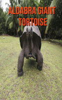 Aldabra Giant Tortoise