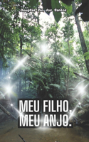 Meu Filho, Meu Anjo.