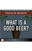 What Is a Good Beer?