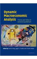 Dynamic Macroeconomic Analysis