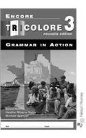 Encore Tricolore 3 Grammar in Action