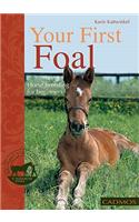 Your First Foal