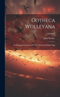 Ootheca Wolleyana