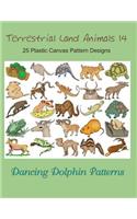 Terrestrial Land Animals 14