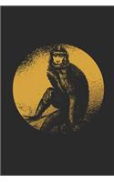 Monkey Drawing