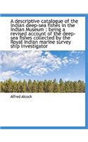 A Descriptive Catalogue of the Indian Deep-Sea Fishes in the Indian Museum: Being a Revised Account(English)