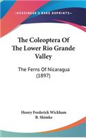 The Coleoptera of the Lower Rio Grande Valley