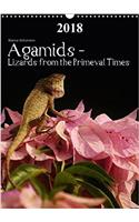 Agamids - Lizards from the Primeval Times 2018
