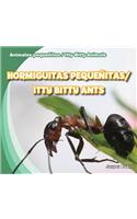 Hormiguitas Pequeñitas / Itty Bitty Ants