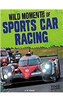 WILD MOMENTS OF SPORTS CAR RACING