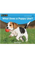 What Does a Puppy Like? Leveled Text: (Early Rising Readers (En))