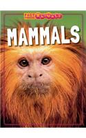 Mammals