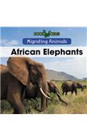 African Elephants