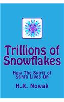 Trillions of Snowflakes: How The Spirit of Santa Lives On