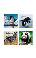 Black and White Animals: (Black and White Animals)