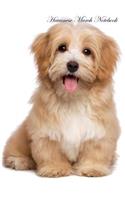 Havanese March Notebook Havanese Record, Log, Diary, Special Memories, To Do List, Academic Notepad, Scrapbook & More