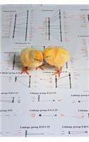 Science Theme Journal Cute Baby Chicks Chicken Genetic Genome Map: (Notebook, Diary, Blank Book)