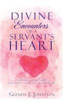 Divine Encounters of a Servant's Heart