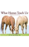 What Horses Teach Us 2020 Box Calendar