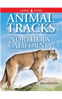 Animal Tracks of Northern California