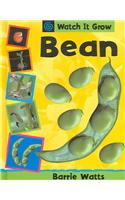 Bean
