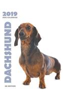 Dachshund 2019 Dog Calendar (UK Edition)